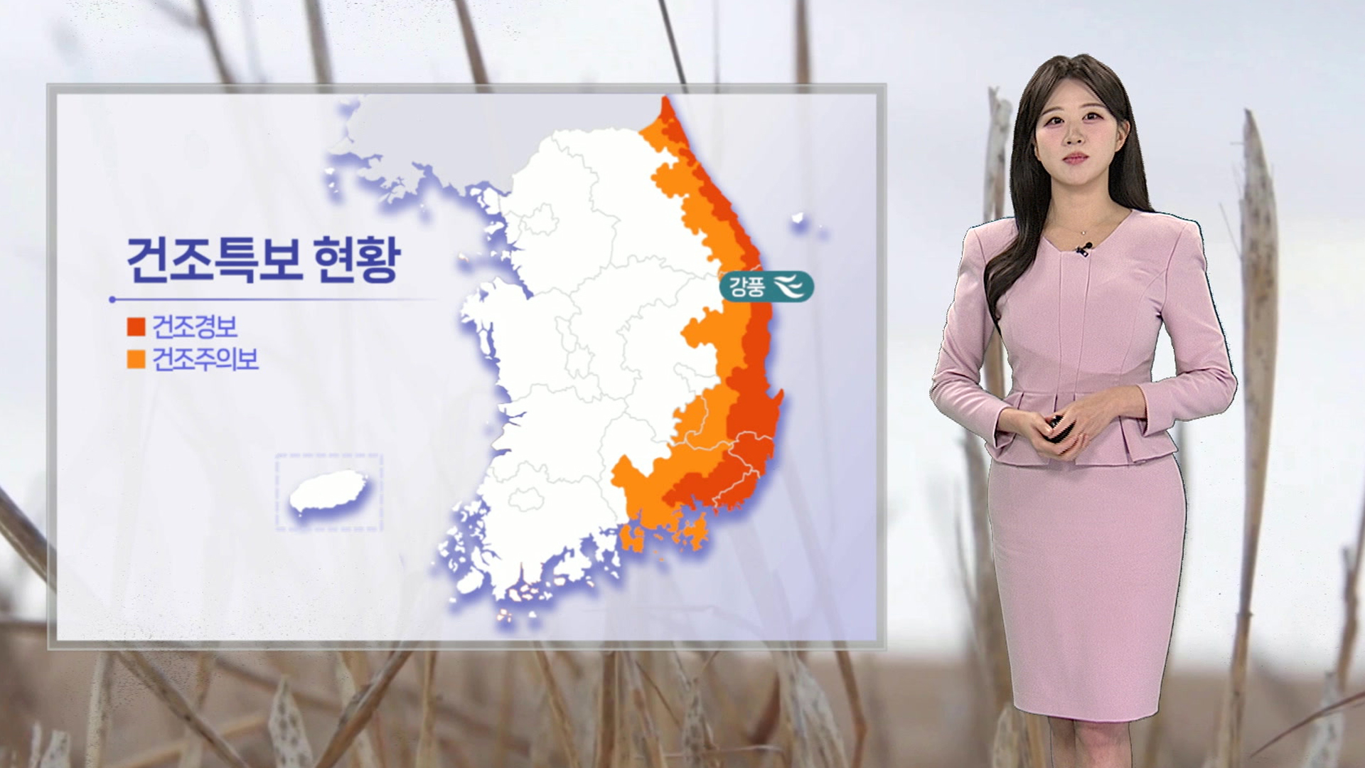 동영상뉴스 재생시간 01:24