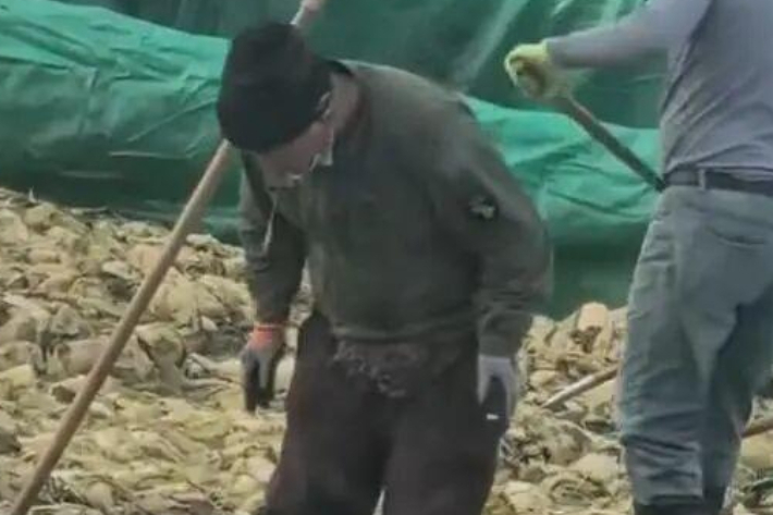 담배 피우고 침을 '퉤'…中 절임배추 공장서 비위생 논란