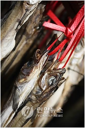 [K-VIBE] 최만순의 약이 되는 K-푸드…명태, 겨울바다의 팔색조