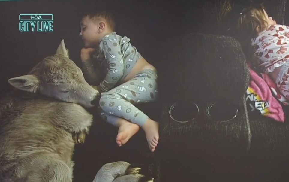 동영상뉴스 재생시간 00:45