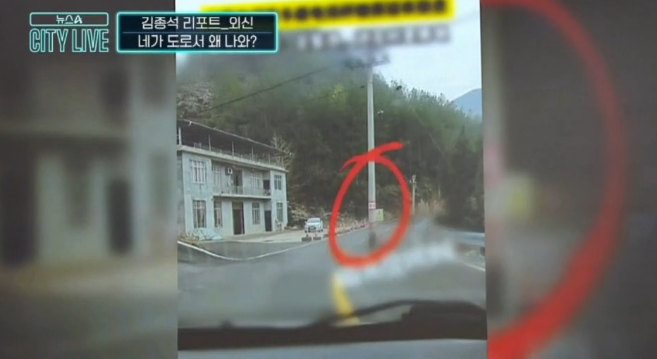 동영상뉴스 재생시간 00:44