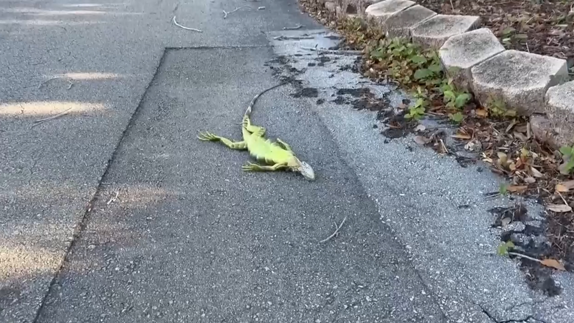 동영상뉴스 재생시간 00:39